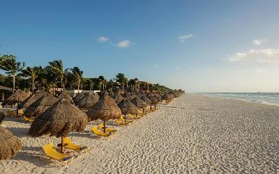 Sunbeds on the Beach