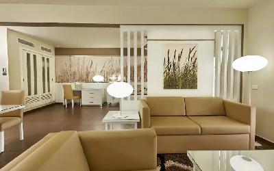 Suite - Living Area