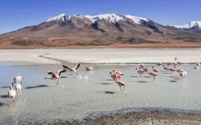 Laguna Colorada3