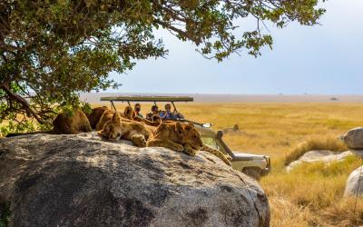 Tanzánie | Serengeti