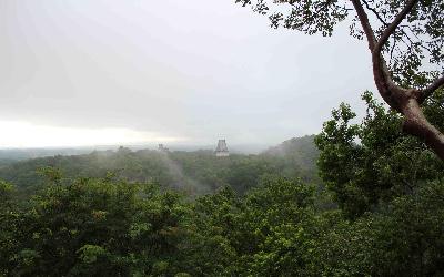 Tikal1